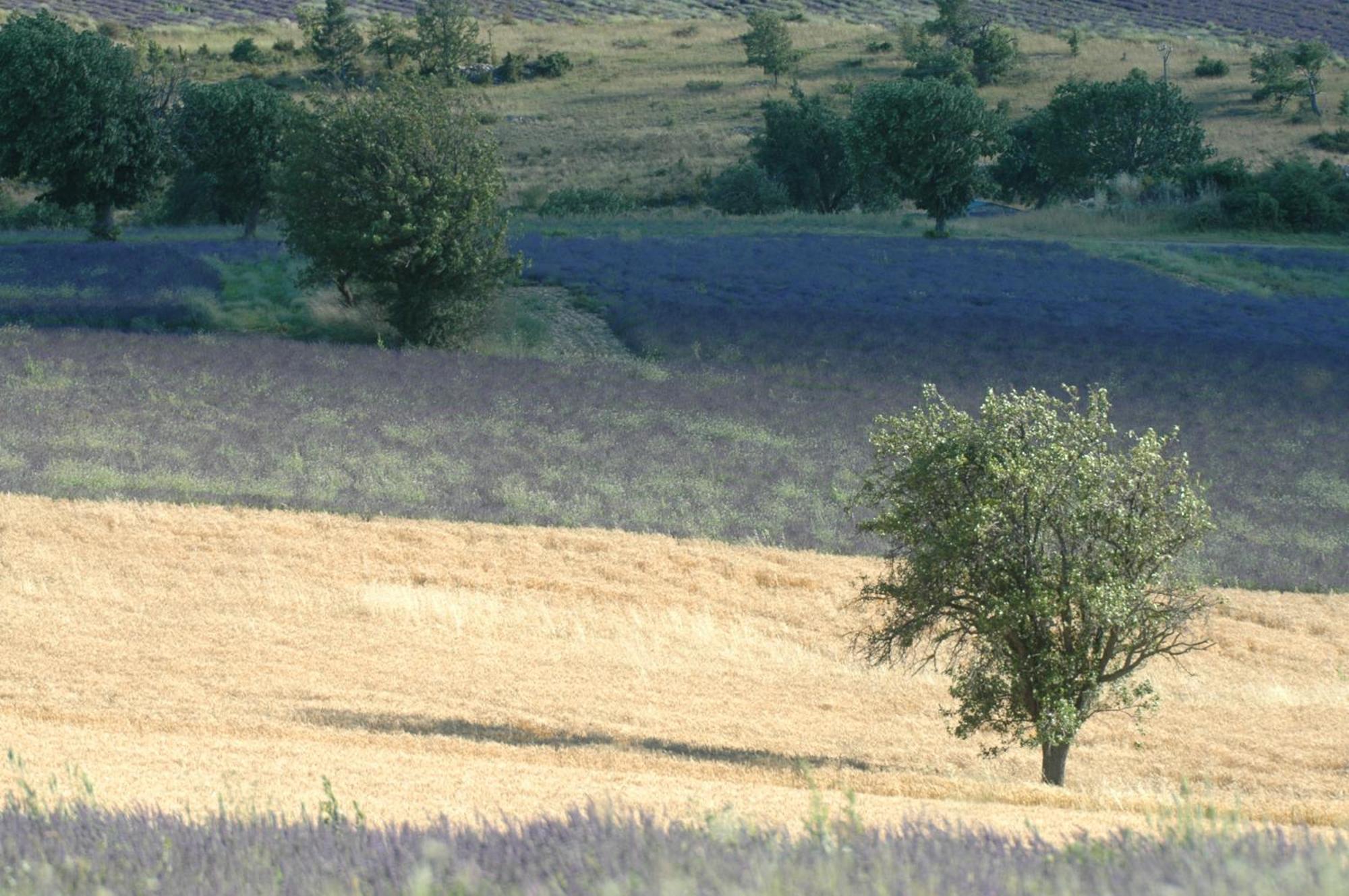 Отель La Claveliere Saint-Auban-sur-l'Ouveze Экстерьер фото